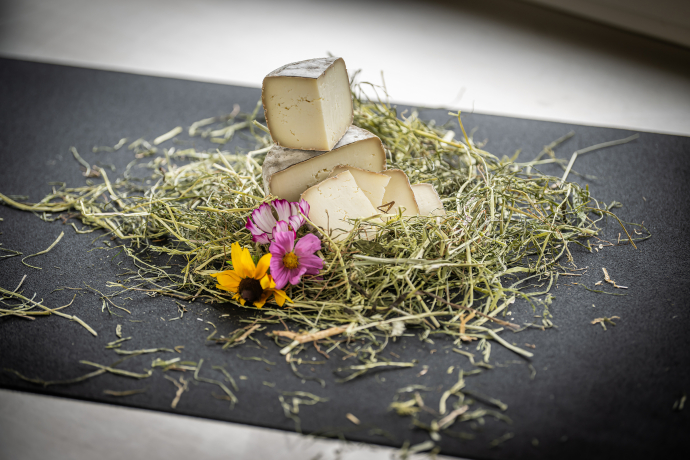 Genuss Pur: Käse aus Graubünden! (© graubündenVIVA) Genuss Pur: Käse aus Graubünden!