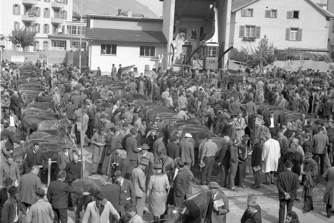 Zuchtvieh- und Stierenmarkt Chur 