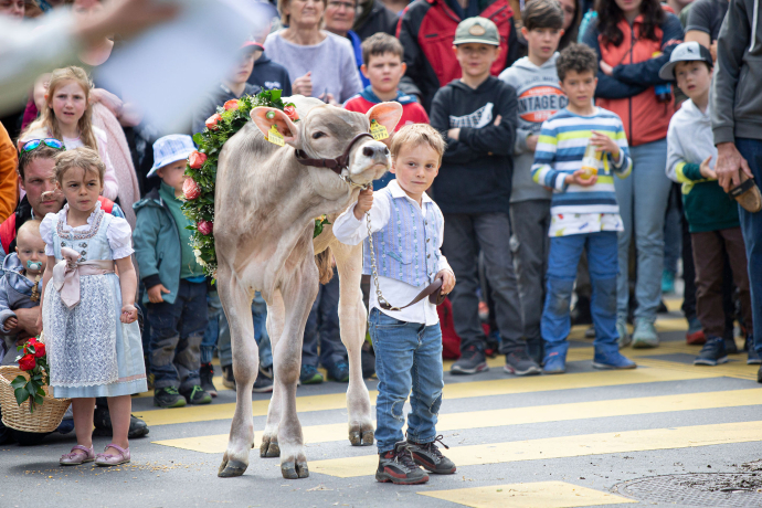 agrischa 2025 Lieblingstierwettberb 