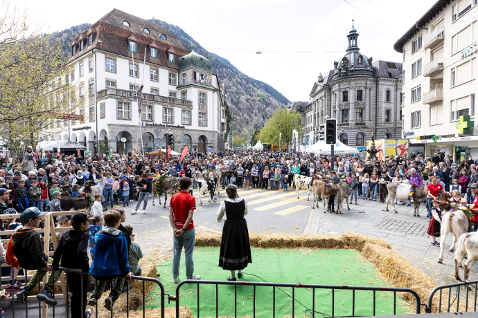 agrischa 2025 Postplatz Lieblingstierwettbewerb