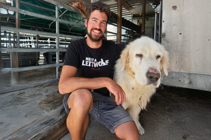 Tim Marchesi Radio Grischa goht go puura