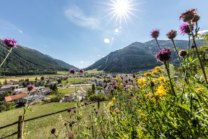 Zernez - das Tor zum Nationalpark