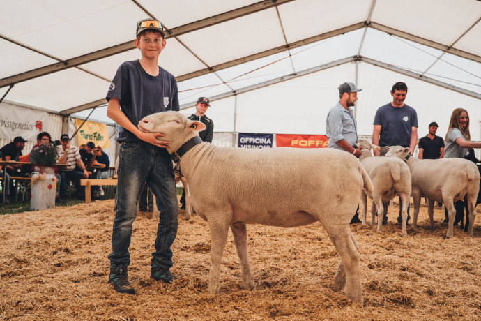 Schaf Barbara, das schönste Schaf der agrischa 2026