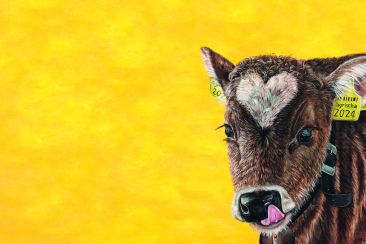 Key Visual agrischa 2024 von Aurelia Patigler Davos Monstein