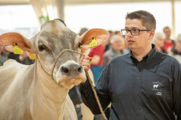 Die Jungzüchter unterstützen beim Vorführen.