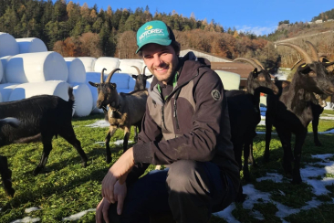 Lukas Casty aus Trin, Mutterkühe und Ziegen