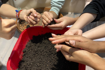 Saatkugeln herstellen