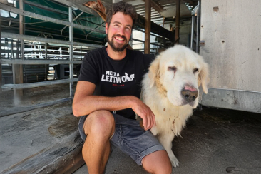 Tim Marchesi Radio Grischa goht go puura