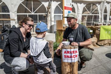 Arvennüsse knacken bei grubündenHOLZ